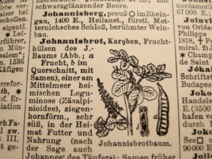 Faksimile aus Lexikon, Stichwort Johannisbrot