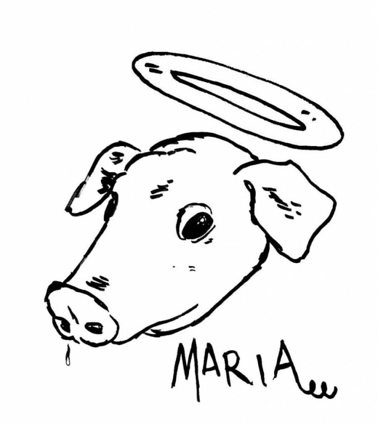 Bleistiftzeichnung Ferkel Maria