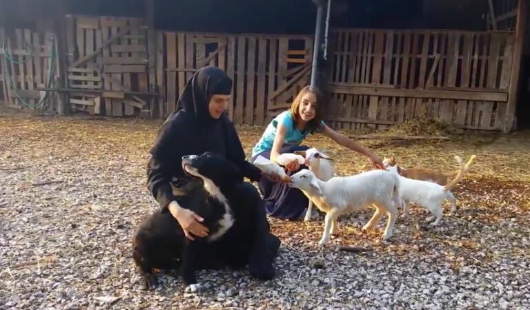 Tiere am Kloster mit Nonne und Mädchen