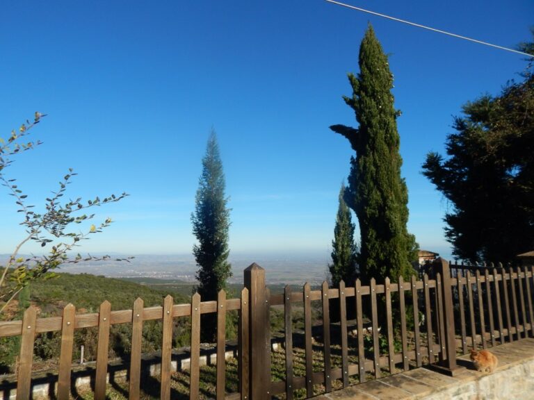 Pieria