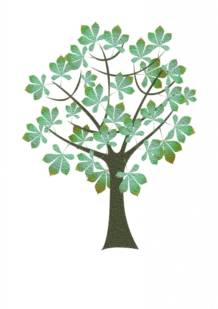 Illustration Kastanienbaum